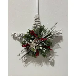 Weihnachtlicher Türkranz Weihnachtskranz Stern Sternenkranz Weihnachtsdeko