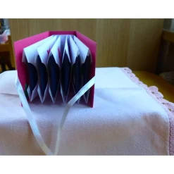 Weihnachtliches Teebeutelbuch,Stern