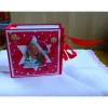 Weihnachtliches-Teebeutelbüchlein,Mitbringsel,Geschenk,Weihnachtsstern