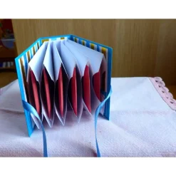 Weihnachtliches-Teebeutelbüchlein,Mitbringsel,Geschenk,Weihnachtsstern