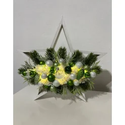 Weihnachtsdeko Weihnachtsstern Stern Led grün weiß Häuschen