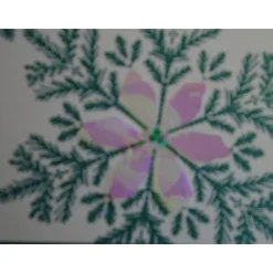 Weihnachtskarte Tannenzweig mit Zauberblume Weihnachtskarten Weihnachten Weihnachtsgrüsse Weihnachten Handgemacht