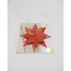 Weihnachtskarte, Weihnachtsstern, Geldgeschenk.