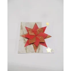 Weihnachtskarte, Weihnachtsstern, Geldgeschenk.