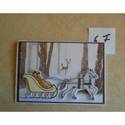 Weihnachtskarten  Schlittenfahrt Karte nach Wahl Weihnachtskarte
