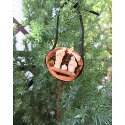 Weihnachtskrippe - Krippe in Walnuss mit Moos