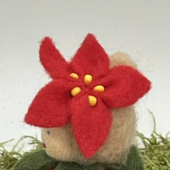 Weihnachtsstern Mini - Blumenkind - Jahreszeitentisch - Winter - Frühling