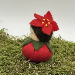 Weihnachtsstern Mini - Blumenkind - Jahreszeitentisch - Winter - Frühling