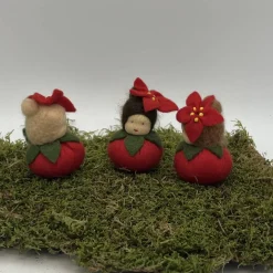 Weihnachtsstern Mini - Blumenkind - Jahreszeitentisch - Winter - Frühling