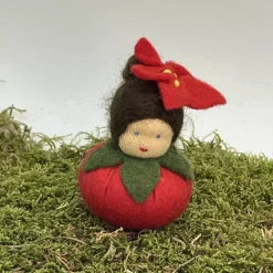 Weihnachtsstern Mini - Blumenkind - Jahreszeitentisch - Winter - Frühling