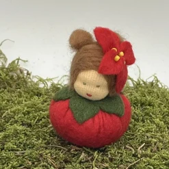 Weihnachtsstern Mini - Blumenkind - Jahreszeitentisch - Winter - Frühling