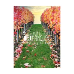 Weinberg im Herbst, Weinland Franken, Herbstlaub rot, Weinblätter, Heimatbild Weinland Unterfranken, Größe 18 x 24 cm