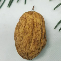 Wichtel in Walnussschale – einzigartiger Christbaumschmuck aus Polymer Clay