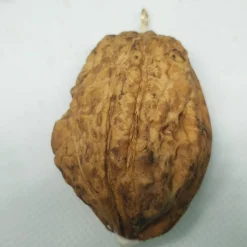 Wichtel in Walnussschale – Christbaumschmuck aus Polymer Clay