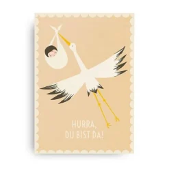 Windelbaby Geschenkbox zur Geburt mit Wunscherfüller – liebevolles Geldgeschenk