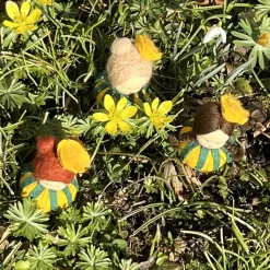 Winterlinge Mini - Blumenkind - Jahreszeitentisch - Winter - Frühling