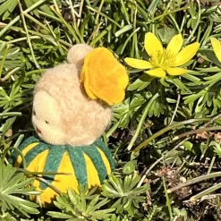 Winterlinge Mini - Blumenkind - Jahreszeitentisch - Winter - Frühling