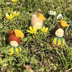 Winterlinge Mini - Blumenkind - Jahreszeitentisch - Winter - Frühling