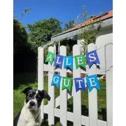 Wunderschöne Girlande Alles Gute in frischen Farben #Ruhestand #Abschied #Geburtstag #Rente #Reise #Umzug #NeuerJob #Kol