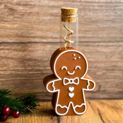 Wunscherfüller mit Reagenzglas & Weihnachtsmotiven -originelle Verpackung für Geldgeschenke zu Weihnachten