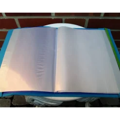 Zeugnissmappe / Zeugnisshülle aus Filz "Robbe"