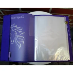 Zeugnissmappe / Zeugnisshülle aus Filz "Pferd"