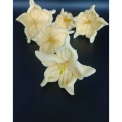 Zuckerblumen , Fondant Blumen, Zuckerfiguren, Tortendekoration, Geburtstag