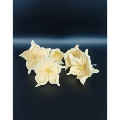 Zuckerblumen , Fondant Blumen, Zuckerfiguren, Tortendekoration, Geburtstag