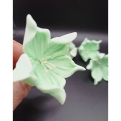 Zuckerblumen , Fondant Blumen, Zuckerfiguren, Tortendekoration, Geburtstag